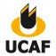 Ucaf