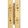 Bisagra Antipalanca Larga 1063 con Remate 2100x45 mm Dorado