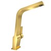 TEKA Grifo Cocina Caño Alto ICC 915 Dorado