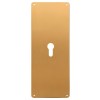 Placa Limpieza 250x80 mm con Bocallave Latón Pulido