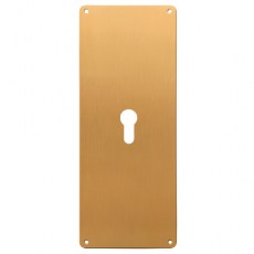 Placa Limpieza 250x80 mm con Bocallave Latón Pulido