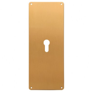 Placa Limpieza 250x80 mm con Bocallave Latón Pulido