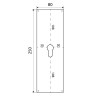 Placa Limpieza 250x80 mm con Bocallave Latón Pulido