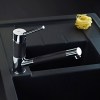 TEKA Grifo Cocina Caño Bajo AUK 978 Extraíble Negro y Cromo