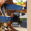 Taladros y atornilladores - Taladro CECOTEC CecoRaptor Perfect Drill 2020 Brushless Ultra