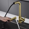 IMEX Grifo Cocina Extraíble Caño Alto MALTA Oro Cepillado