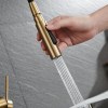 IMEX Grifo Cocina Extraíble Caño Alto BERNA GCE026 Doble Jet Oro Cepillado