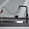 IMEX Grifo Cocina Extraíble Caño Alto NIZA GCE027 Doble Jet Negro Mate
