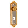 Tirador Armario con Bocallave R-45 Oro y Platino