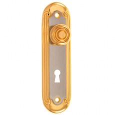 Tirador Armario con Bocallave R-50 Oro y Platino Satinado