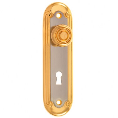 Tirador Armario con Bocallave R-50 Oro y Platino Satinado