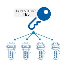 Recargo Llaves Iguales Cilindros TE5