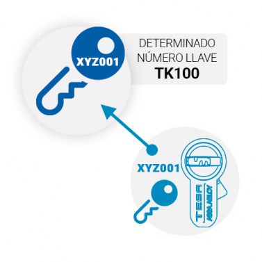 Recargo a un Número Determinado de Llave TK100