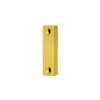 Suplemento Frente Cerraduras TESA 100mm Dorado
