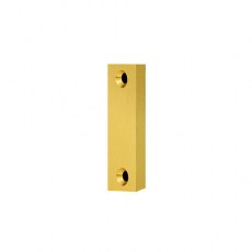 Suplemento Frente Cerraduras TESA 100mm Dorado