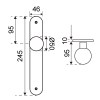 Manillones con placa - Pomo Fijo con Placa SV-PP32 245x45 mm Inox