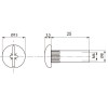 Tubo Unión 6x25 mm Latonado