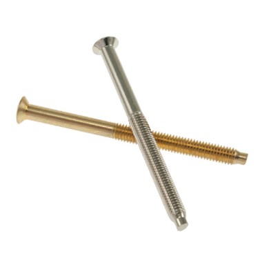 Cerraduras de seguridad - Tornillo Largo para Escudo Seguridad