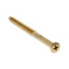 Tornillo Largo para Escudo Seguridad Hierro Latonado