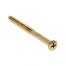 Tornillo Largo para Escudo Seguridad Hierro Latonado